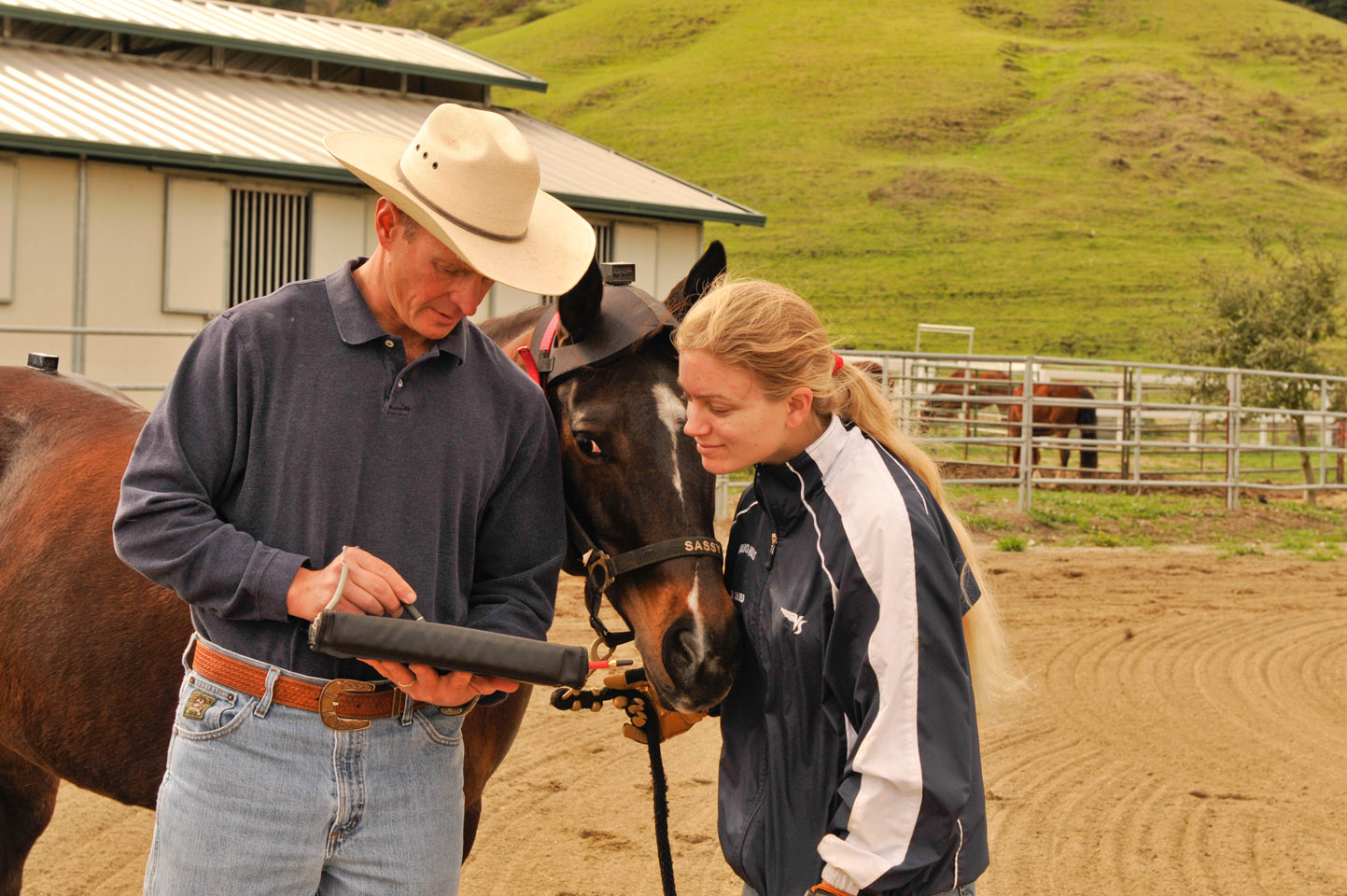 Equine Internal Medicine Mission Equine Associates