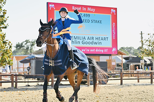 MES-Clients-2015_0000_thumbnail_IMG_4303-1