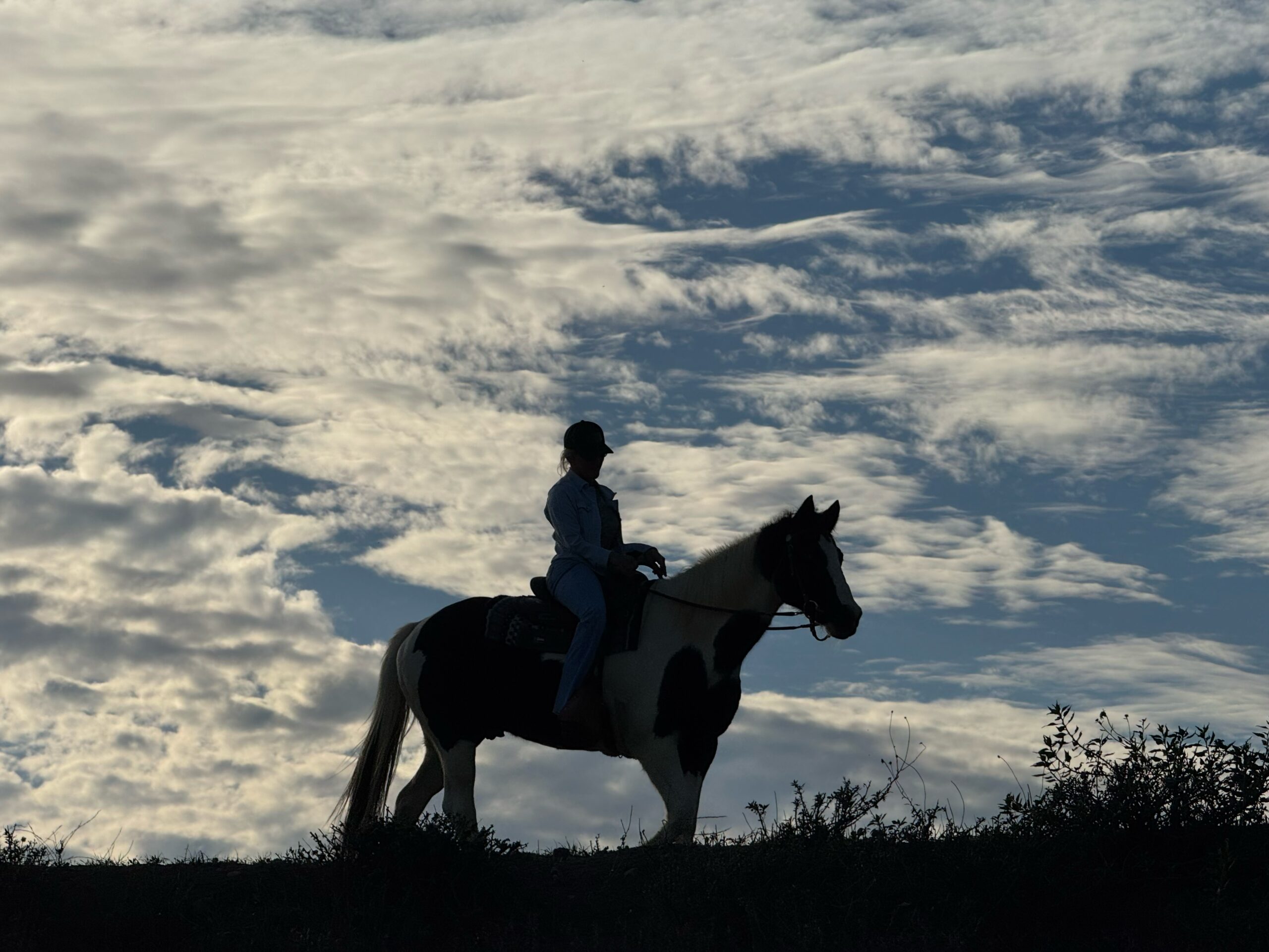 Facetune_18-11-2025-14-22-08