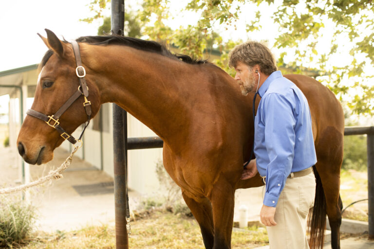 Routine Wellness Examinations