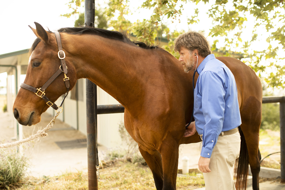 Routine Wellness Examinations