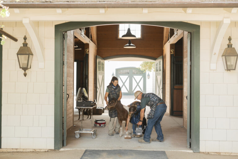 Diagnostic Imaging (Radiology, Ultrasound, and Upper Airway Scopes)