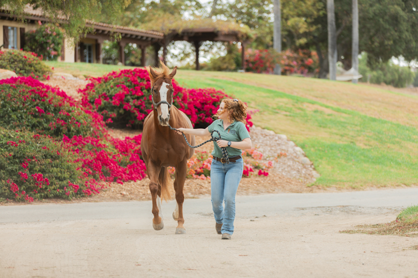 Musculoskeletal Examinations: