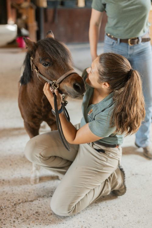 MissionEquine_Finals-391